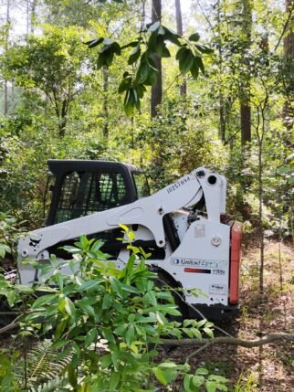 A white vehicle is clearing the tree.