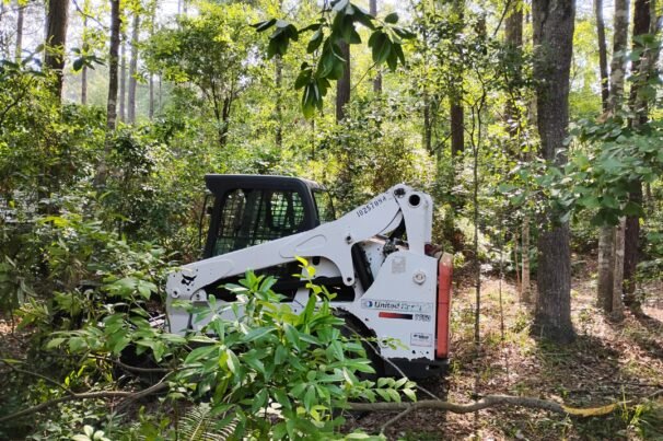 A white vehicle is clearing the tree.